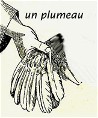 plumeau