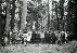 L'histoire mouvement�e du ch�ne de la r�sistance